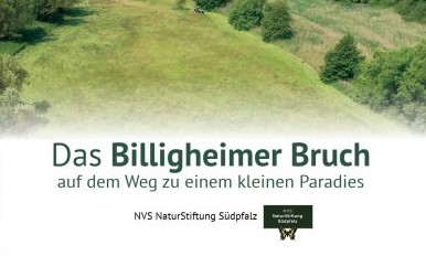 Tipp für eine Fahrrad- oder Wandertour: das Naturparadies Billigheimer Bruch